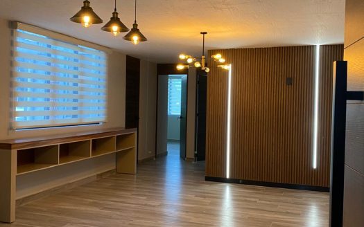 Departamento en venta remodelado en Nueva Chapultepec